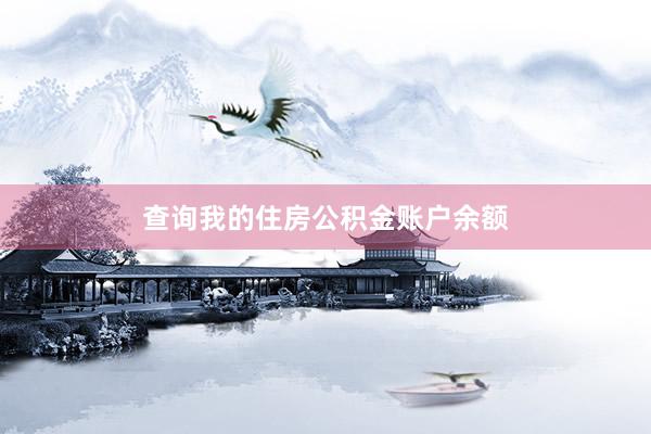 查询我的住房公积金账户余额